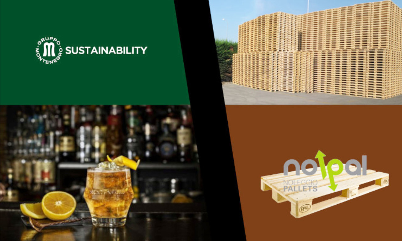 Montenegro e NolPal: pallet EPAL sicuro e più green - Nolpal